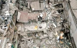 Une vue aérienne montre un chien marchant au milieu des décombres d'un bâtiment effondré après un séisme de magnitude 7,4 à Pereira, en Colombie, le 15 août 2026