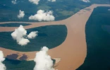 Vue aérienne du fleuve Amazone au Brésil le 12 décembre 2013