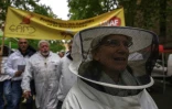 Manifestation d'apiculteurs contre les pesticides à Toulouse, le 27 avril 2025