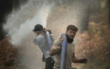 Des volontaires luttent contre le feu dans la forêt de Lanton (Gironde) le 29 juillet 2026