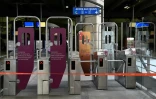 La SNCF assure le trafic de seulement un train sur deux au départ ou à l'arrivée de la gare de Montparnasse, à Paris pour le 29 juillet 2018