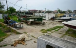 Des bateaux de pêche à Sulina en Roumanie le 9 mai 2026