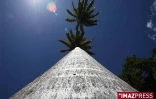 Vendredi 3 Juillet

Le jardin de l'Etat à Saint-Denis