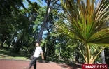Vendredi 3 Juillet

Le jardin de l'Etat à Saint-Denis