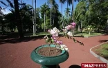 Vendredi 3 Juillet

Le jardin de l'Etat à Saint-Denis