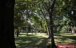 Vendredi 3 Juillet

Le jardin de l'Etat à Saint-Denis