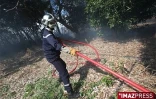 Lundi 6 Juillet 2009

Feu de cannes
