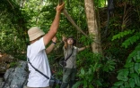 Yap Jo Leen (d), fondatrice du Langur Project Penang (LPP), participe à l'installation d'une troisième passerelle destinée aux singes langurs, au-dessus d'une route dans la banlieue de Batu Ferringhi, à George Town, sur l'île de Penang, le 8 avril 2026 en Malaisie