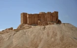 Vue du château antique de la ville de Palmyre en Syrie, le 18 mai 2015