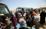 Des familles irakiennes près du village d'al-Sejar après avoir fui les combats le 27 mai 2016 à Fallouja