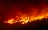 Les flammes ravagent les collines de West Kelowna en Colombie-Britannique au Canada, le 17 août 2023