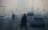 Une femme marche dans une rue d'Oulan-Bator un jour de pollution, le 14 février 2019