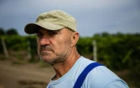 Pavlo Magalias, propriétaire du vignoble Olvio Nuvo, dans la région de Mykolaïv, le 3 septembre 2022 en Ukraine