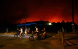 Un incendie d'une grande virulence à Le Porge en Gironde, le 23 juillet 2026