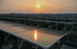Des panneaux solaires sur le toit du bâtiment de la société américaine Digital Realty , le 2 septembre 2026 à Singapour 