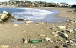 Une bouteille en plastique sur une plage Ă Marseille le 27 octobre 2020