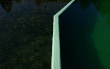 La séparation entre l'espace baignade, à droite, et un bassin de filtration naturelle, dans le plan d'eau biotope de Combloux, en Haute-Savoie, le 12 août 2026