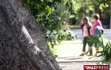 Saint-Denis jardin de l'Etat