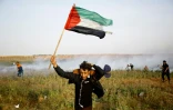 Un Palestinien brandissant un drapeau lors d'une manifestation à la frontière entre la bande de Gaza et Israël le 4 avril 2018