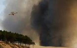 Un avion bombardier d'eau à proximité de l'un des deux méga-feux en Gironde, le 18 juillet 2022