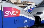Des TGV à la gare Saint-Charles à Marseille le 25 août 2018