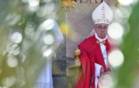 Le pape François, le 9 avril 2017 au Vatican