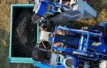 Vendanges dans les vignes de la coopérative viticole de Correns, dans le Var, le 17 août 2026