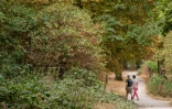 Un couple passe devant des arbres aux feuilles desséchées par le stress hydrique au bois de Vincennes, près de Paris, le 13 juillet 2026 lors d'une vague de chaleur en France