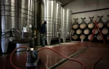 Un vigneron dans les caves du château des Chapelains, propriété de Zhang Rong, à Saint-André-et-Appelles, en Gironde, le 26 septembre 2024