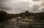 Kostas Dounakis, président de l'union des éleveurs d'Alexandroupolis, dans une zone brûlée près du village de Melia, dans la région d'Evros, le 25 octobre 2023 en Grèce