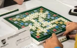Des joueurs de Scrabble, jeu de la marque américaine Mattel, lors des Championnats du monde de Scrabble à Lille, le 29 août 2016