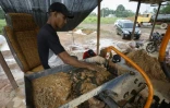 Un homme travaille dans une mine d'or artisanale à El Dorado, dans l'Etat de Bolivar, le 25 mai 2025 au Venezuela