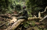 Un garde forestier de l'Autorité nationale des aires protégées (NPAA) dans une zone de déforestation illégale dans la réserve forestière de Kambui, près de Kenema, le 14 juin 2024 en Sierra Leone