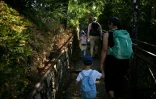 Des visiteurs sur un sentier de la forĂȘt de Fontainebleau au premier jour de la rĂ©ouverture au public du massif forestier partiellement dĂ©vastĂ© par les flammes en juillet, le 22 aoĂ»t 2026 prĂšs d'Avon, en Seine-et-Marne
