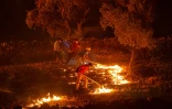 Des secouristes tentent d'éteindre un feu de forêt s'étendant dans le village d'Akcayaka (Turquie), le 6 août 2021