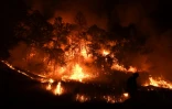 Le "Ranch Fire", l'un des nombreux incendies en Californie depuis mi-juillet
