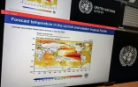 Un graphique montrant l'évoluation du phénomène El Nino, lors d'une conférence de presse de l'Organisation météorologique mondiale à Genève, le 3 septembre 2026