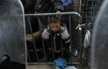 Un enfant attend avec d'autres réfugiés de traverser la frontière entre la Grèce et la Macédoine à Idomeni, le 3 décembre 2015