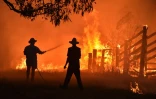 Des habitants de la petite ville australienne de Hillville, près de Taree, à 350 km au nord de Sydney, tentent de défendre leurs maisons contre l'arrivée d'un feu de brousse, le 12 novembre 2019