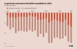La perte de couverture forestière mondiale en 2024