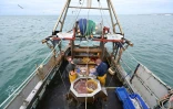 Un bateau de pĂŞche au large des cotes du sud-est de l'Angleterre, le 12 octobre 2020