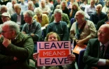 Manifestants pro-Brexit de l'organisation Leave Means Leave à Londres le 14 décembre 2018