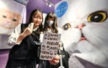 Des adolescentes japonaises montrent leurs photos prises dans un "purikura", le 21 juillet 2020 à Tokyo