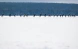 Des patineurs participent à la "Sigtunarännet", course de 50 km sur le lac Mälaren gelé, au départ de Sigtuna, au nord de Stockholm, le 20 février 2022