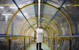 Luc Vandermaesen, PDG de l'Association de la Moutarde de Bourgogne (AMB) et directeur de la société "Reine de Dijon", pose à l'usine à Fleurey-sur-Ouche, département de la Côte-d'Or, le 7 septembre 2022