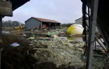 Une exploitation laitière biologique dévastée par les récentes inondations à Bruz, le 5 février 2025 en Ille-et-Vilaine