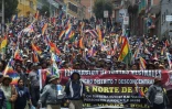 Des partisans de l'ex-président bolivien Evo Morales manifestent à La Paz le 14 novembre 2019