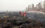 Des pompiers volontaires arrossent des tourbières fumantes à Mensubuk Lama, dans le Kalimantan occidental, le 26 septembre 2026 en Indonésie