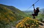 Une femme s'élance sur une tyrolienne pour admirer les fleurs sauvages du Skull Canyon de Corona, en Californie, le 11 avril 2023