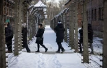 Des visiteurs du musée de l'ancien camp nazi d'Auschwitz-Birkenau, le 14 janvier 2025 dans la ville polonaise d'Oswiecim